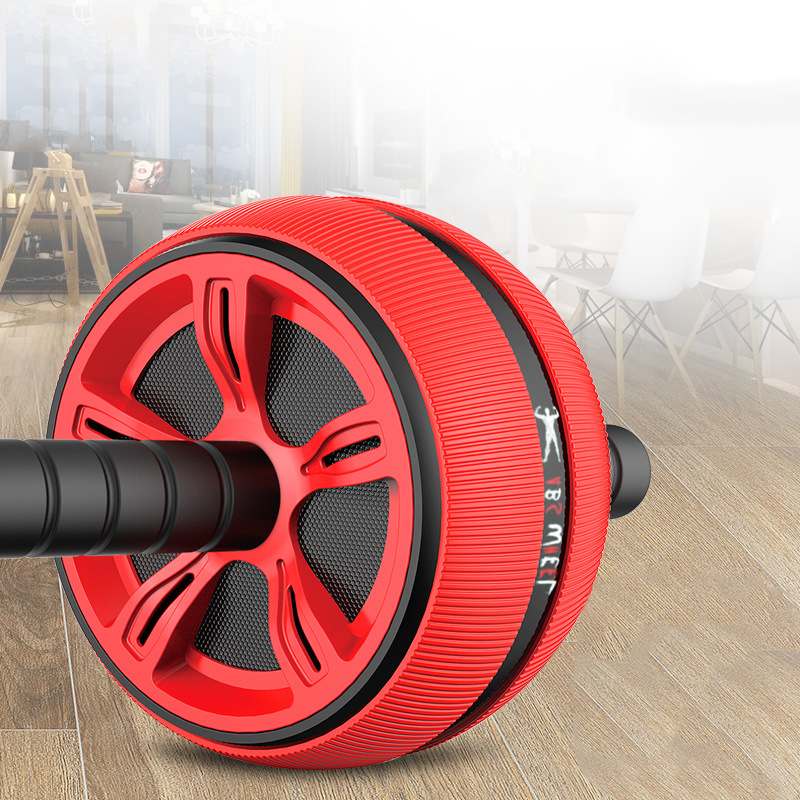 Ab Roller with Mat